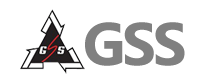 GSS